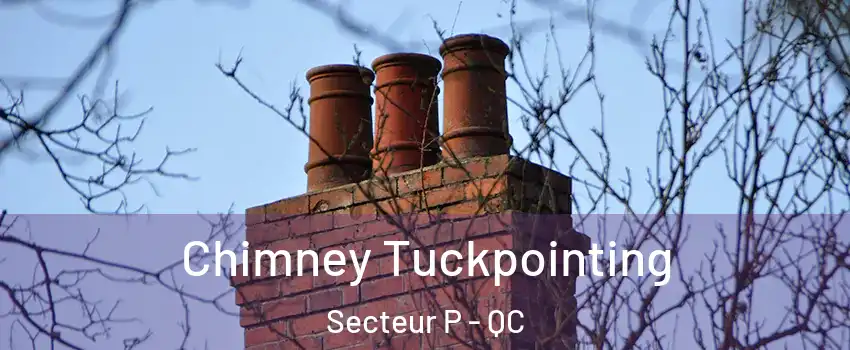  Chimney Tuckpointing Secteur P - QC