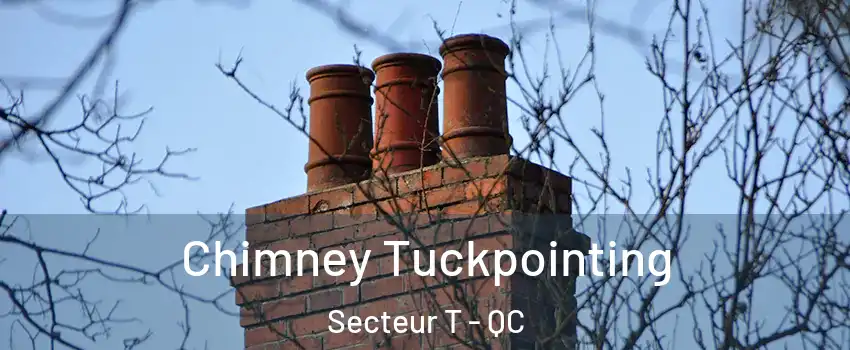  Chimney Tuckpointing Secteur T - QC