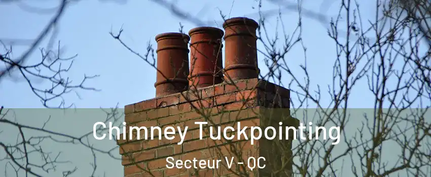  Chimney Tuckpointing Secteur V - QC