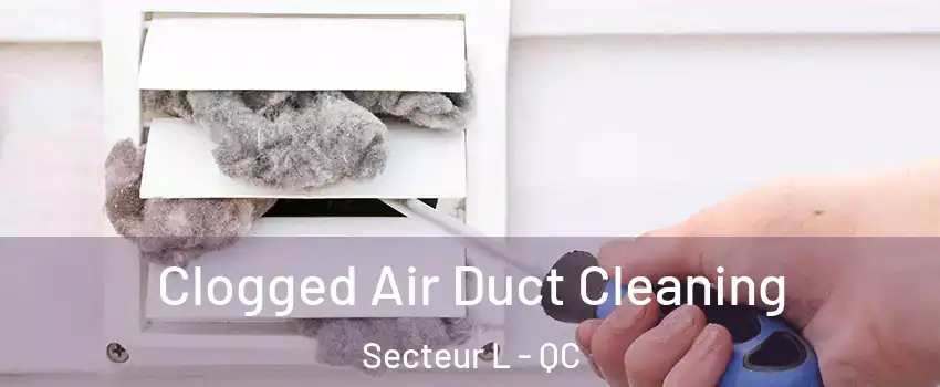 Clogged Air Duct Cleaning Secteur L - QC