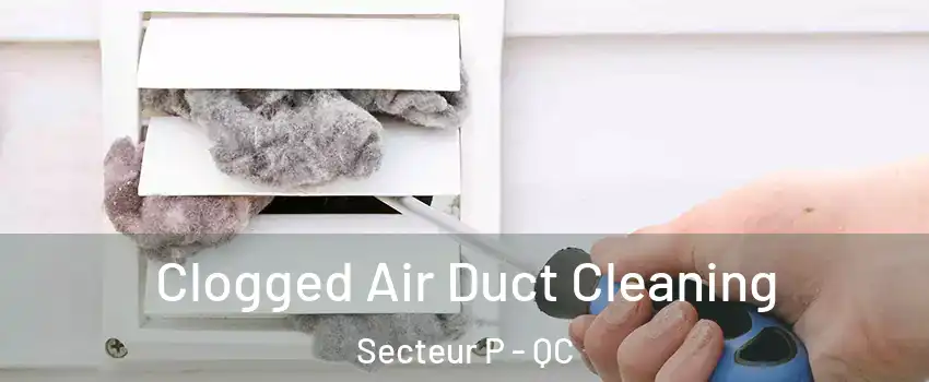  Clogged Air Duct Cleaning Secteur P - QC
