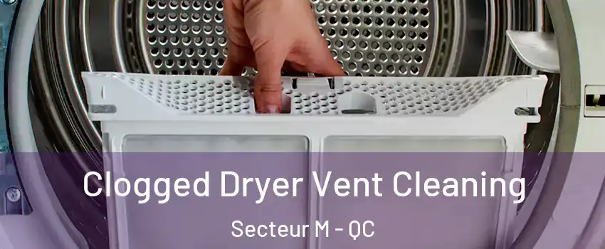  Clogged Dryer Vent Cleaning Secteur M - QC