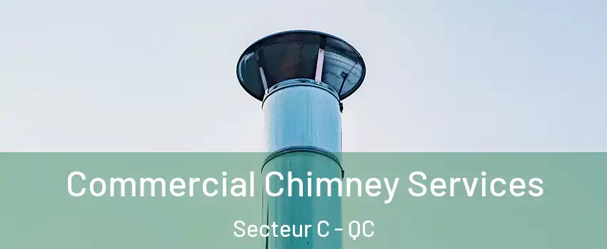 Commercial Chimney Services Secteur C - QC