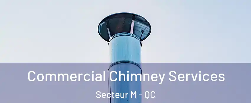 Commercial Chimney Services Secteur M - QC