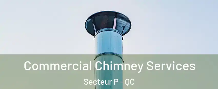 Commercial Chimney Services Secteur P - QC