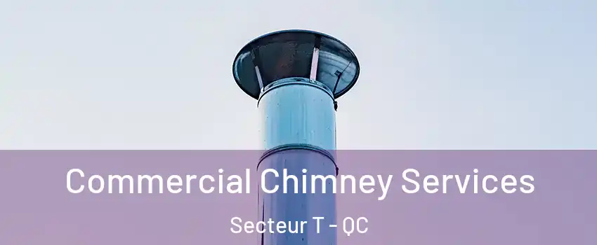  Commercial Chimney Services Secteur T - QC