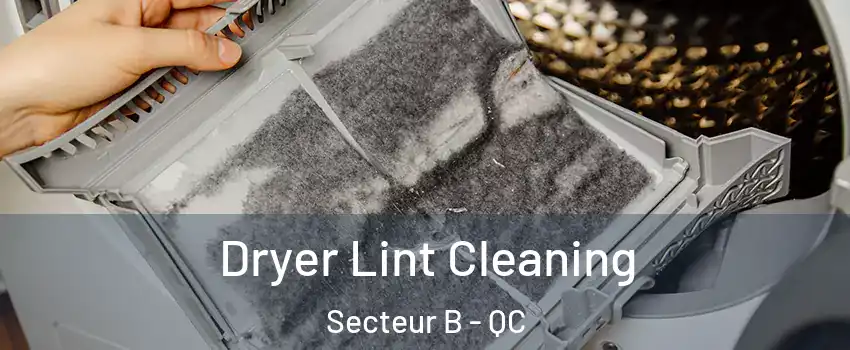  Dryer Lint Cleaning Secteur B - QC