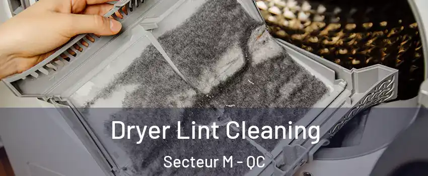  Dryer Lint Cleaning Secteur M - QC