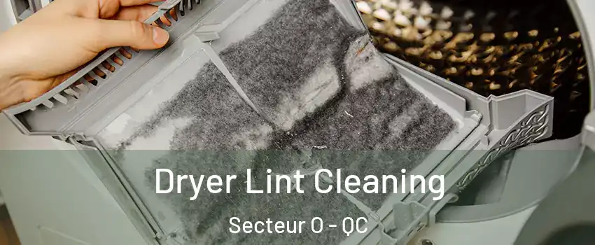  Dryer Lint Cleaning Secteur O - QC