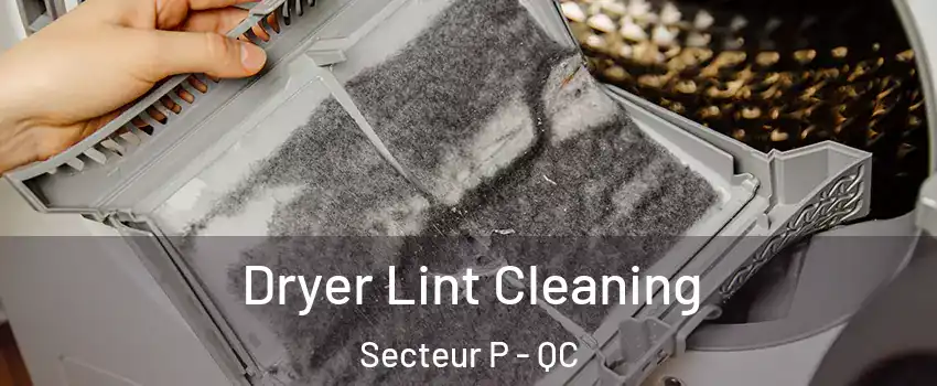  Dryer Lint Cleaning Secteur P - QC