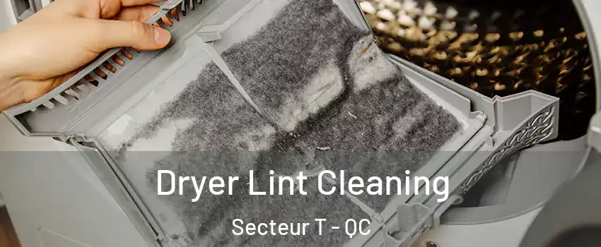  Dryer Lint Cleaning Secteur T - QC