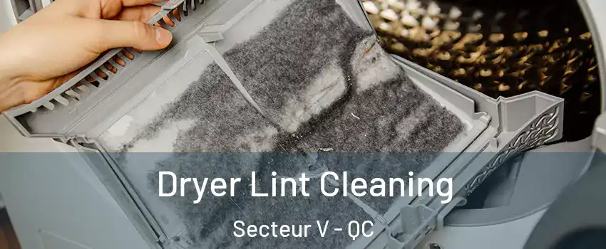  Dryer Lint Cleaning Secteur V - QC