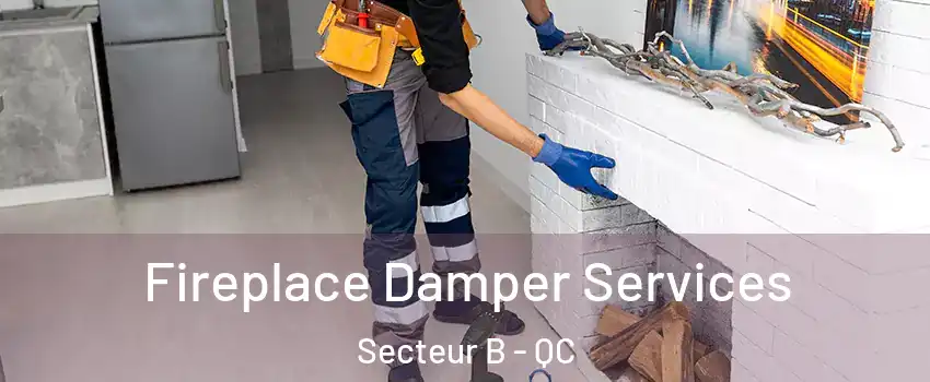  Fireplace Damper Services Secteur B - QC