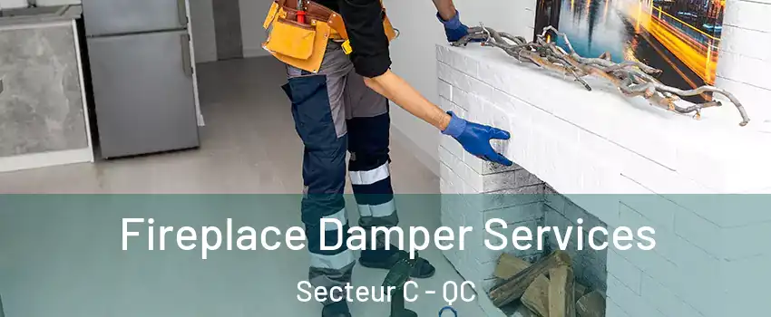  Fireplace Damper Services Secteur C - QC