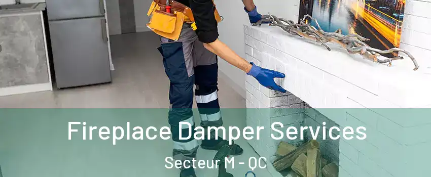  Fireplace Damper Services Secteur M - QC