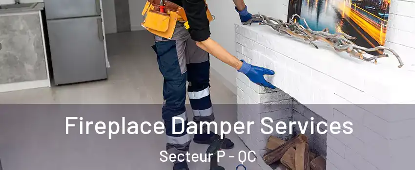  Fireplace Damper Services Secteur P - QC