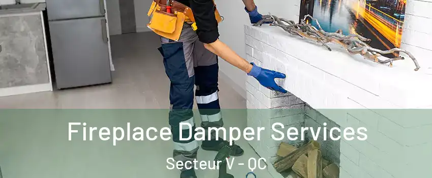  Fireplace Damper Services Secteur V - QC