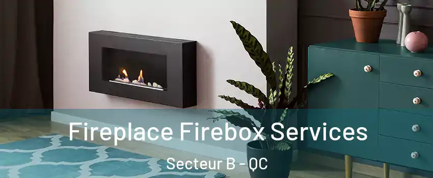  Fireplace Firebox Services Secteur B - QC