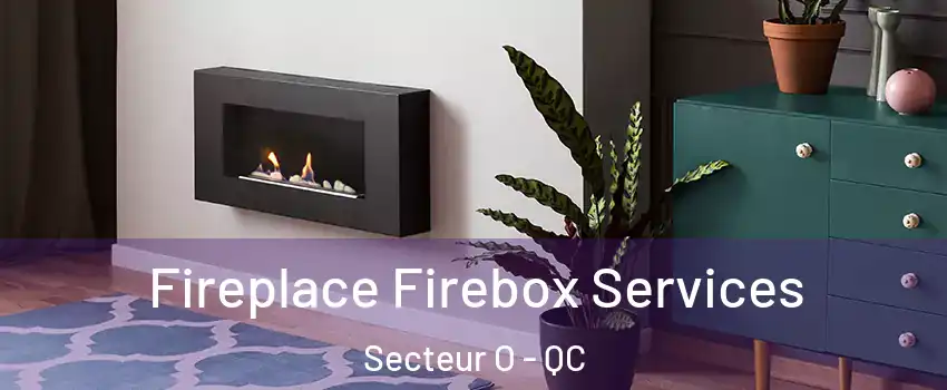  Fireplace Firebox Services Secteur O - QC