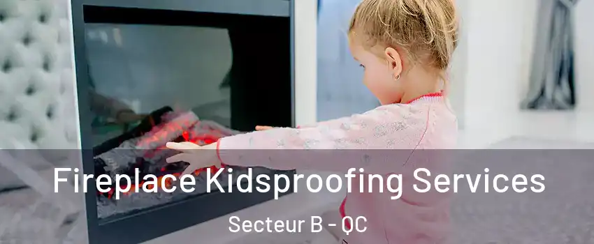  Fireplace Kidsproofing Services Secteur B - QC