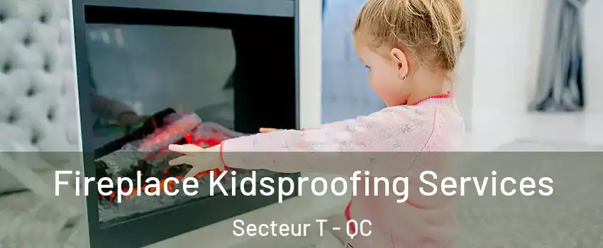  Fireplace Kidsproofing Services Secteur T - QC