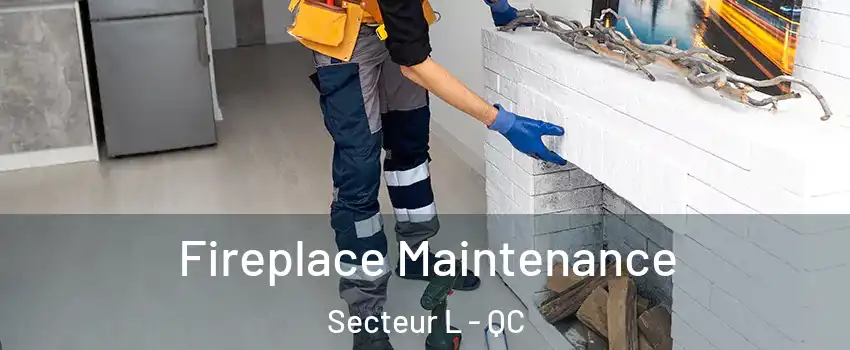  Fireplace Maintenance Secteur L - QC