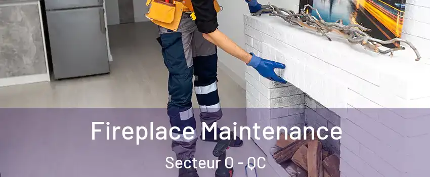  Fireplace Maintenance Secteur O - QC