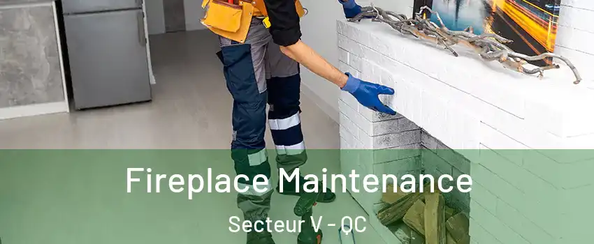  Fireplace Maintenance Secteur V - QC