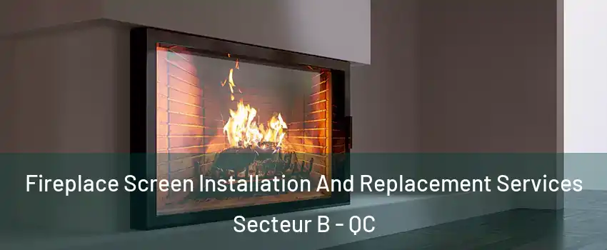  Fireplace Screen Installation And Replacement Services Secteur B - QC