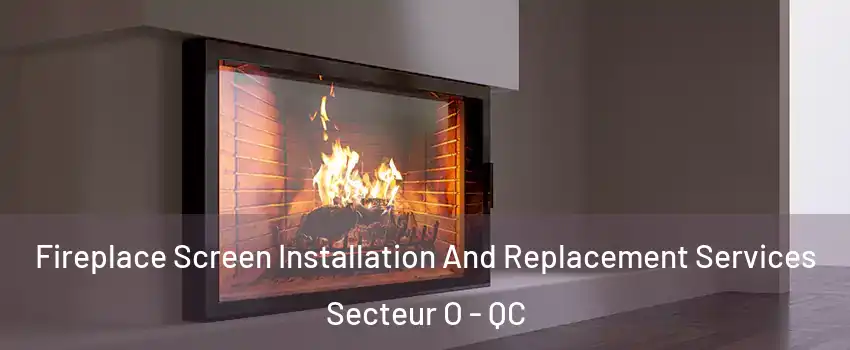  Fireplace Screen Installation And Replacement Services Secteur O - QC