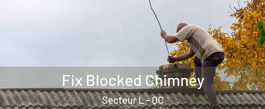  Fix Blocked Chimney Secteur L - QC