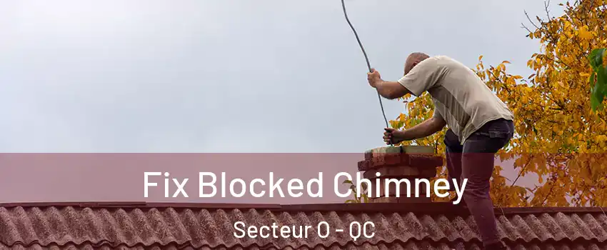  Fix Blocked Chimney Secteur O - QC