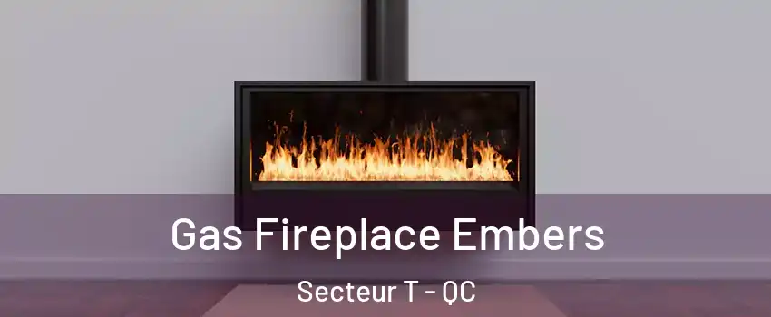  Gas Fireplace Embers Secteur T - QC