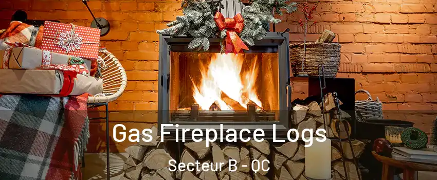  Gas Fireplace Logs Secteur B - QC