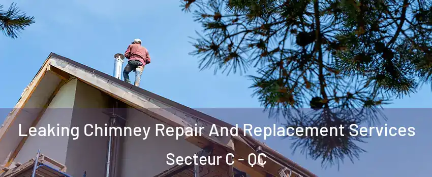  Leaking Chimney Repair And Replacement Services Secteur C - QC
