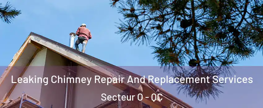  Leaking Chimney Repair And Replacement Services Secteur O - QC