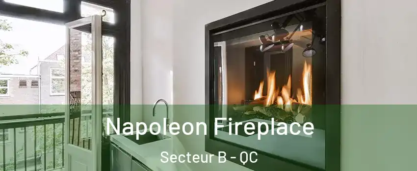 Napoleon Fireplace Secteur B - QC