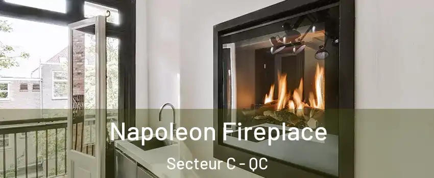  Napoleon Fireplace Secteur C - QC