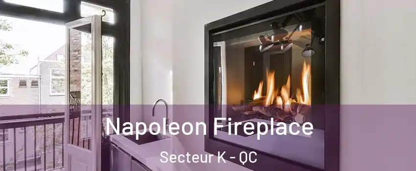 Napoleon Fireplace Secteur K - QC