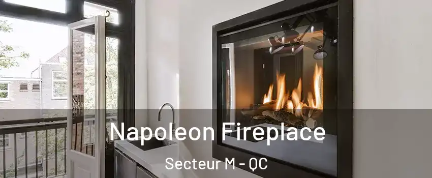  Napoleon Fireplace Secteur M - QC