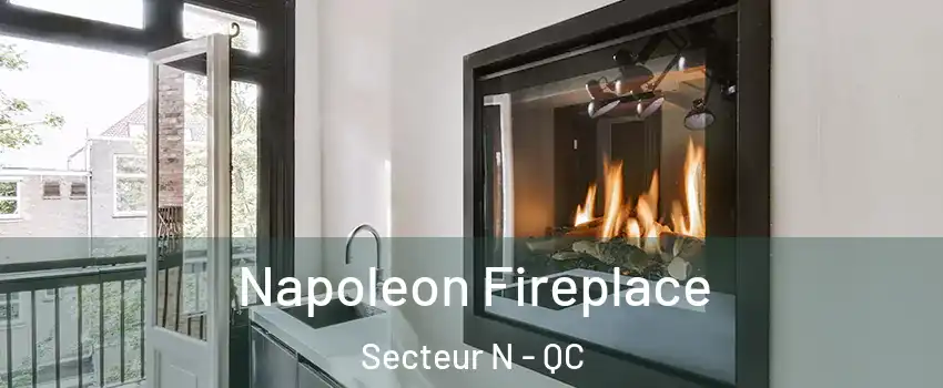  Napoleon Fireplace Secteur N - QC