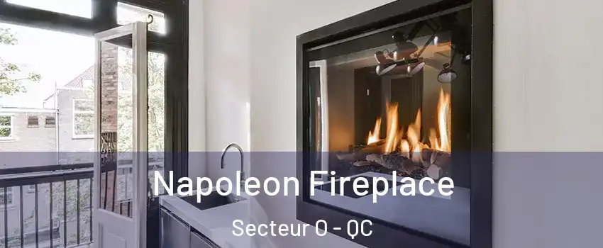  Napoleon Fireplace Secteur O - QC