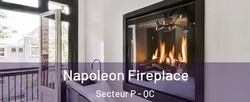  Napoleon Fireplace Secteur P - QC