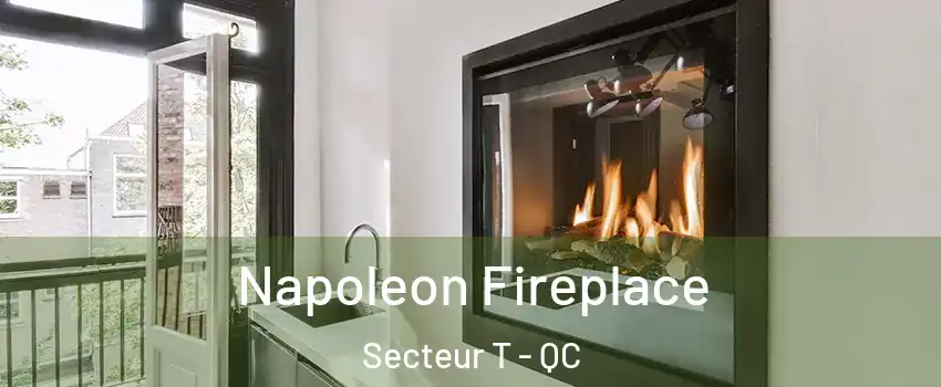  Napoleon Fireplace Secteur T - QC