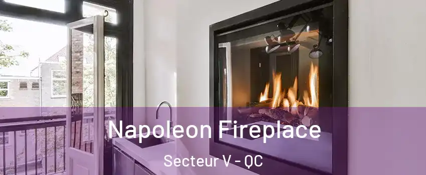  Napoleon Fireplace Secteur V - QC