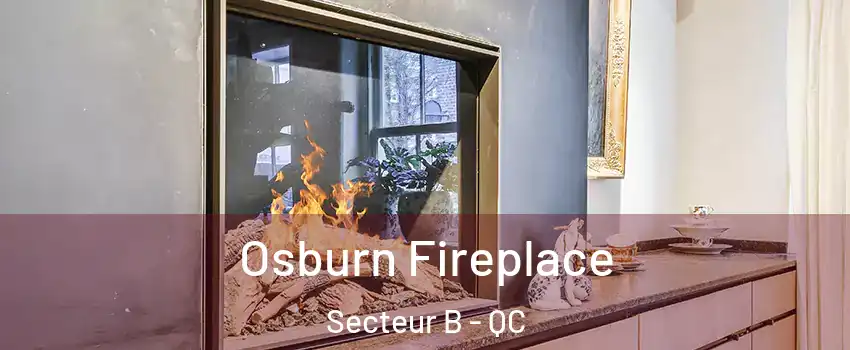  Osburn Fireplace Secteur B - QC
