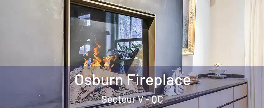  Osburn Fireplace Secteur V - QC